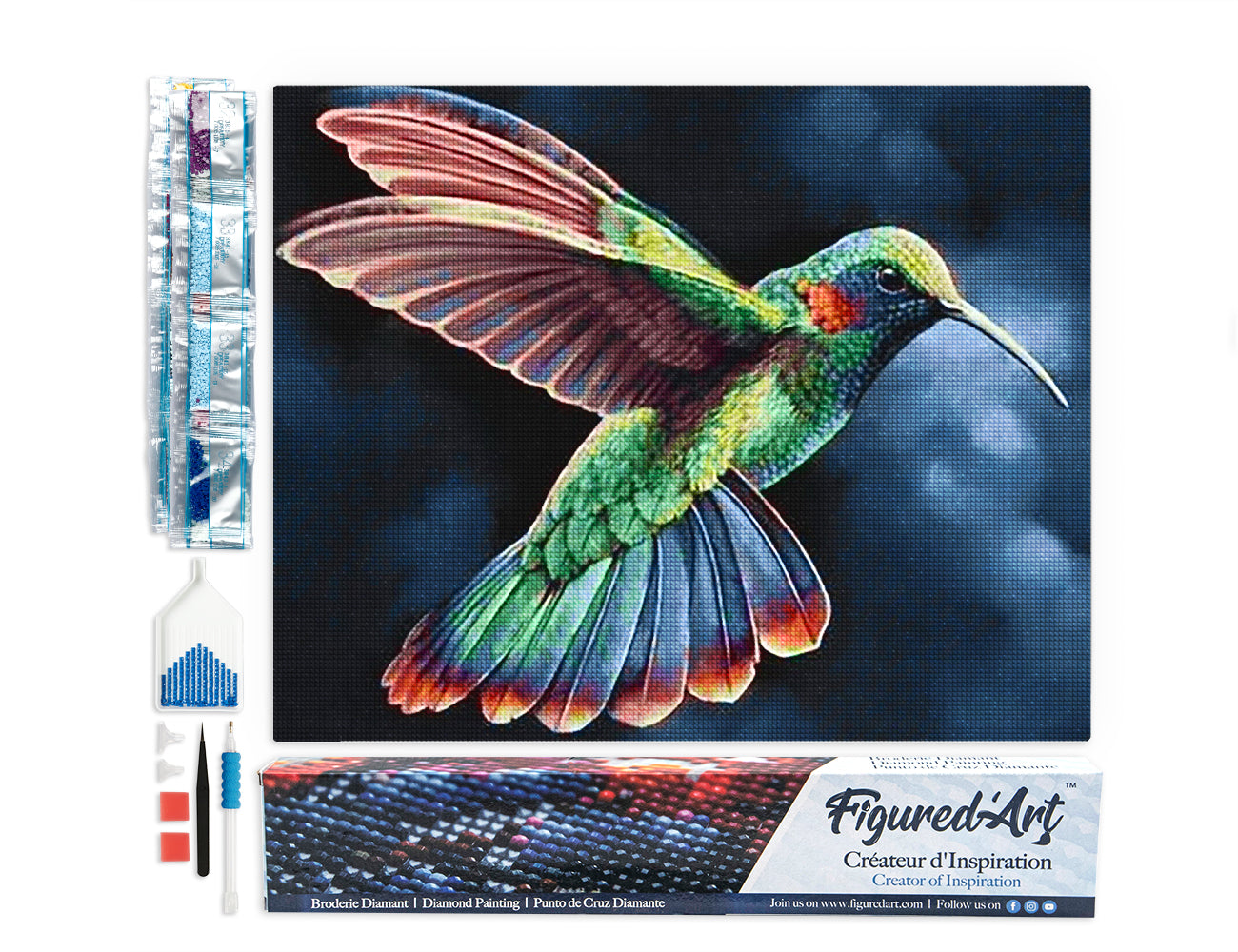 Diamond Painting - Hummingbird in the Night
