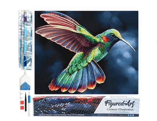 Diamond Painting - Hummingbird in the Night