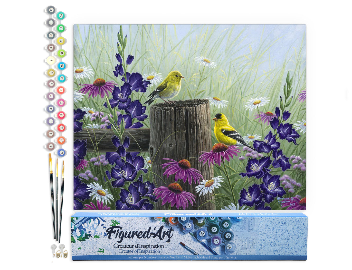 Paint by Numbers rolled - Goldfinch Birds