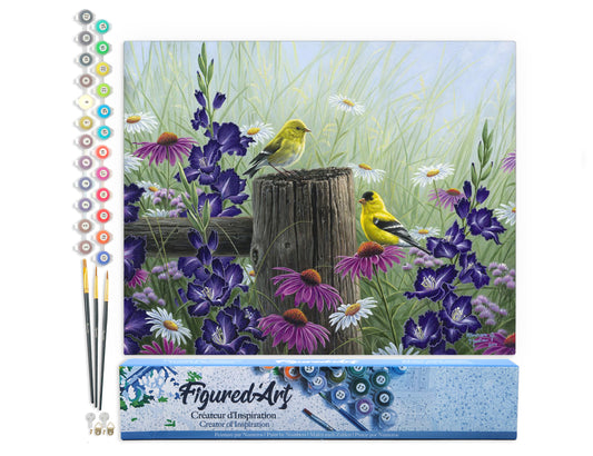 Paint by Numbers rolled - Goldfinch Birds