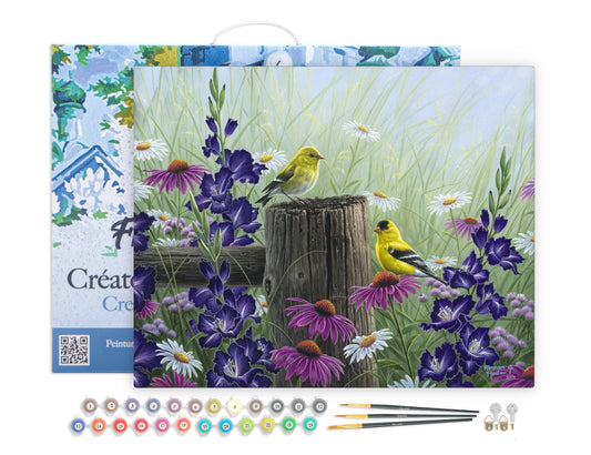 Paint by Numbers Framed - Goldfinch Birds