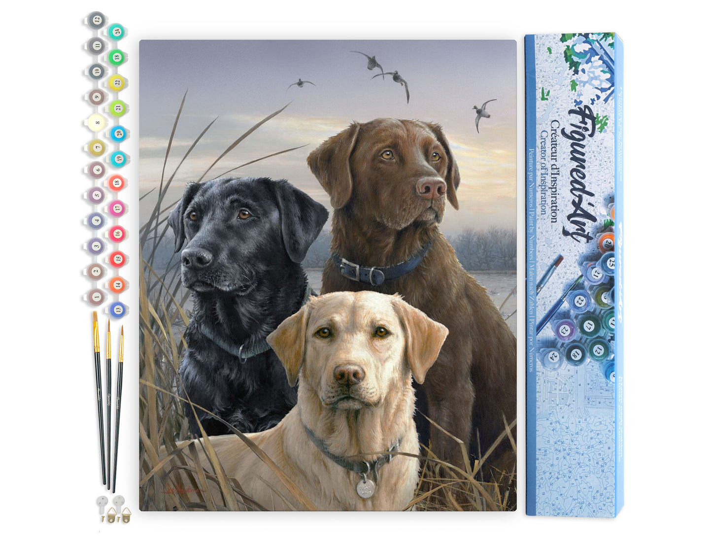 Paint by Numbers rolled - Labrador Trio