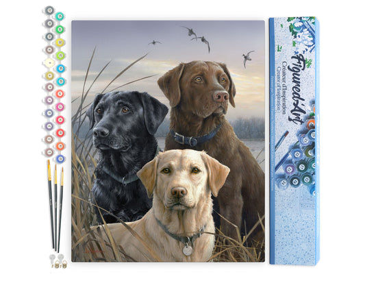 Paint by Numbers rolled - Labrador Trio