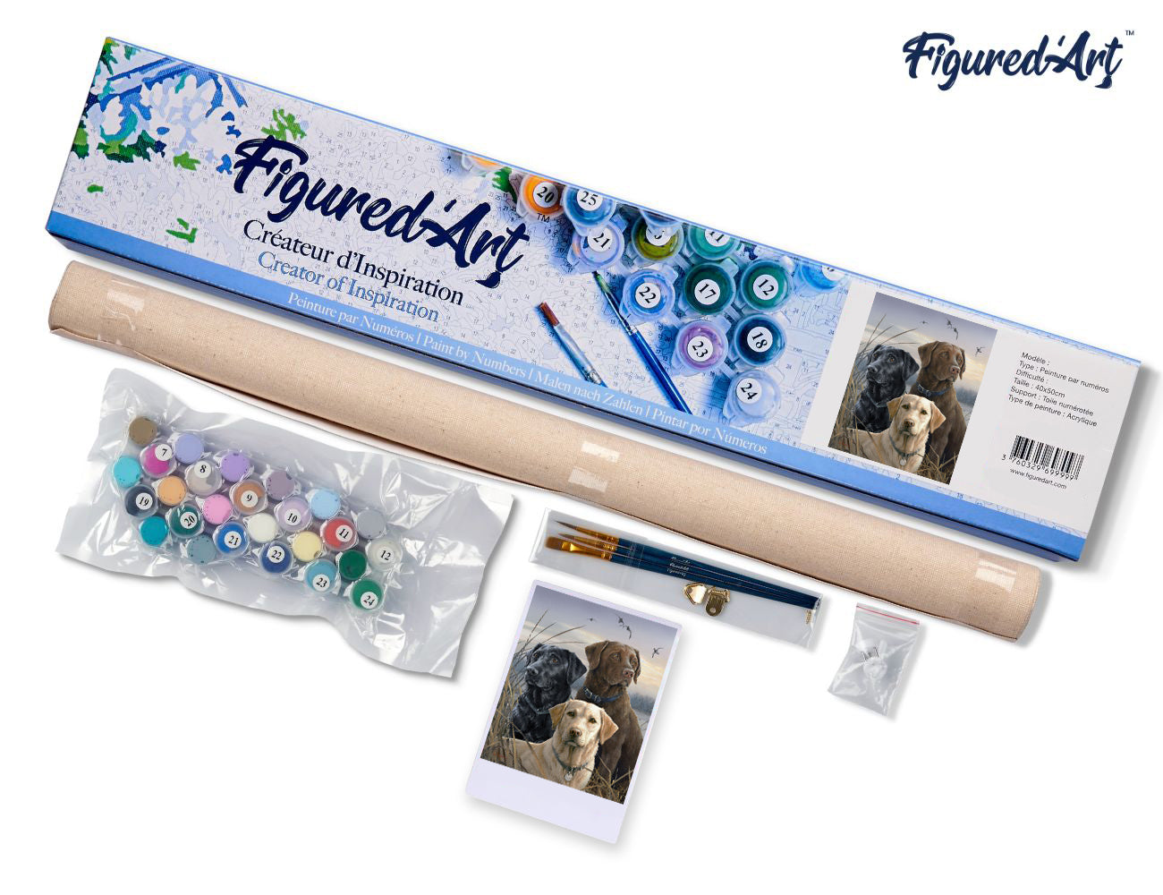 Paint by Numbers rolled - Labrador Trio