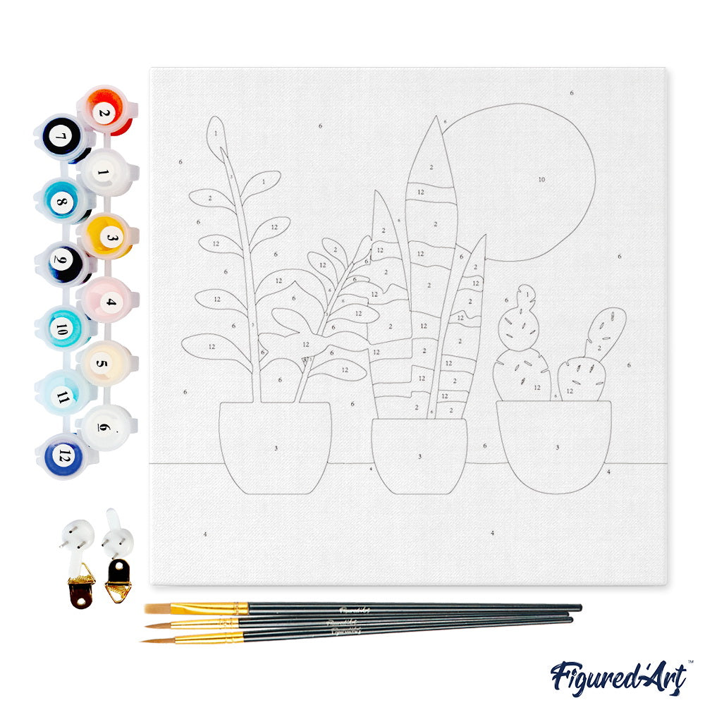 Mini Paint by numbers 8"x8" framed - Three plant pots