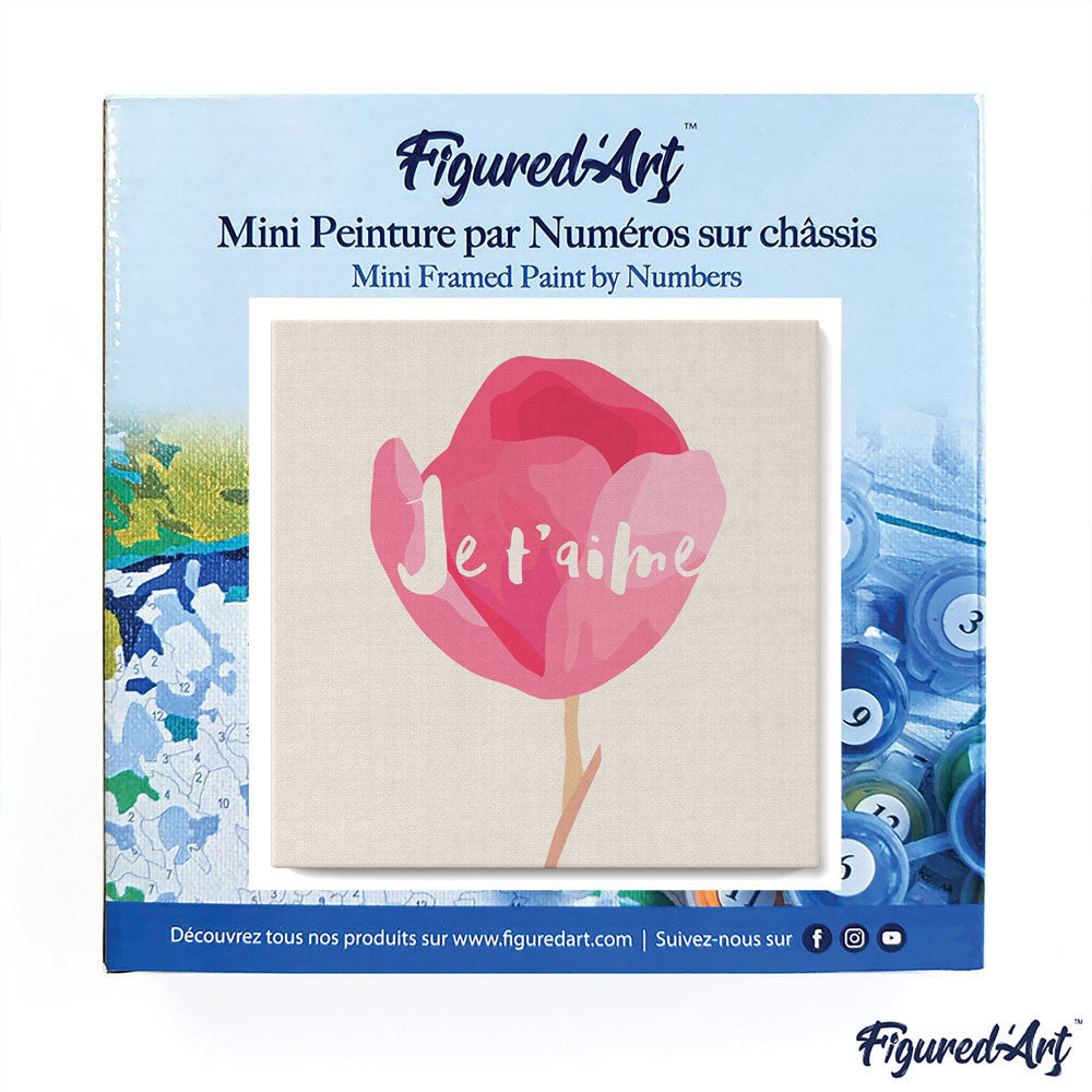 Mini Paint by numbers 8"x8" framed - Je T'aime