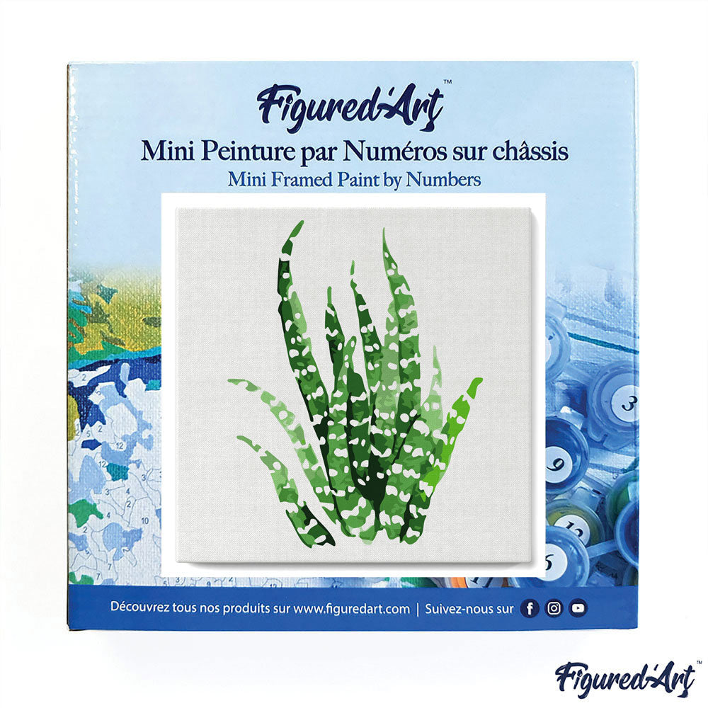 Mini Paint by numbers 8"x8" framed - Abstract Aloe Vera Plant