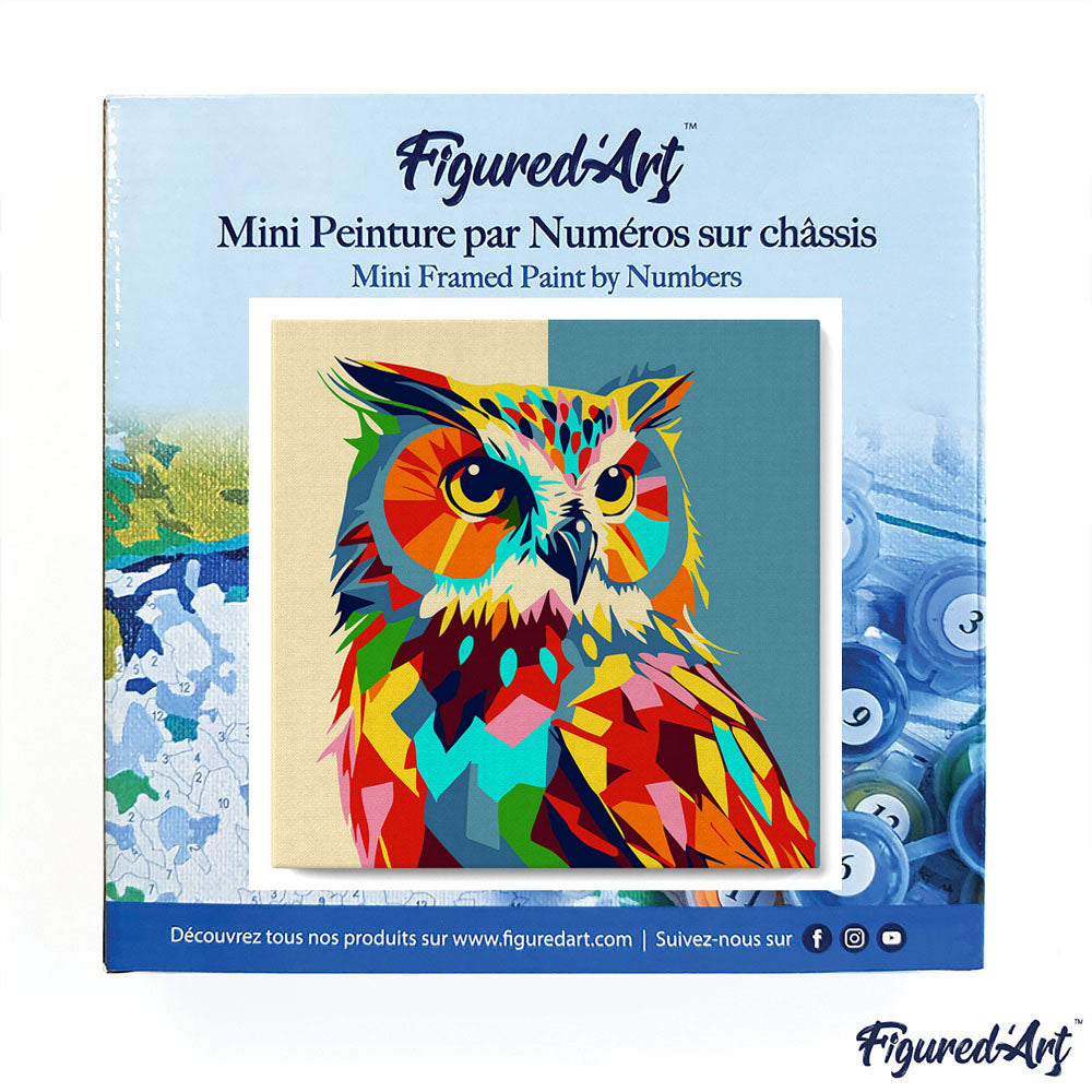 Mini Paint by numbers 8"x8" framed - Owl Abstract Pop Art