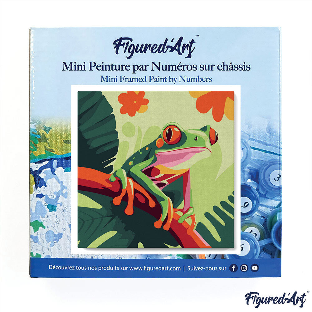 Mini Paint by numbers 8"x8" framed - Tropical Red-Eyed Tree Frog