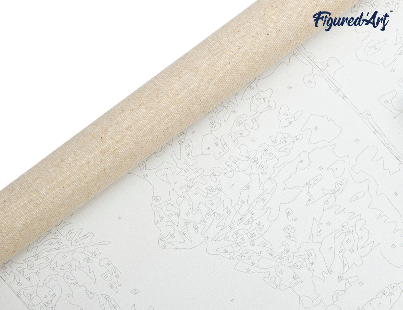 Paint by Numbers rolled - Rooster